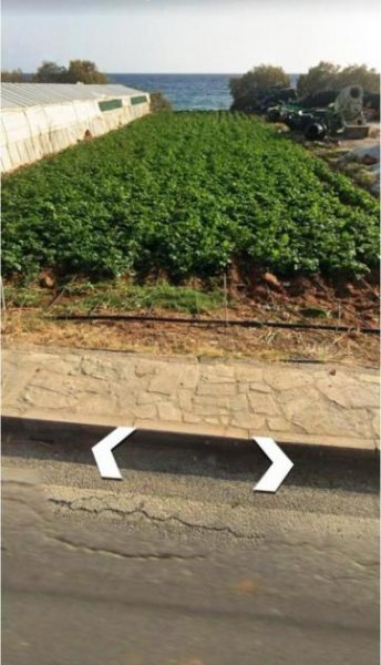 Koutsouras Südostkreta, Koutsouras: Baugrundstück direkt am Meer zu verkaufen Grundstück kaufen